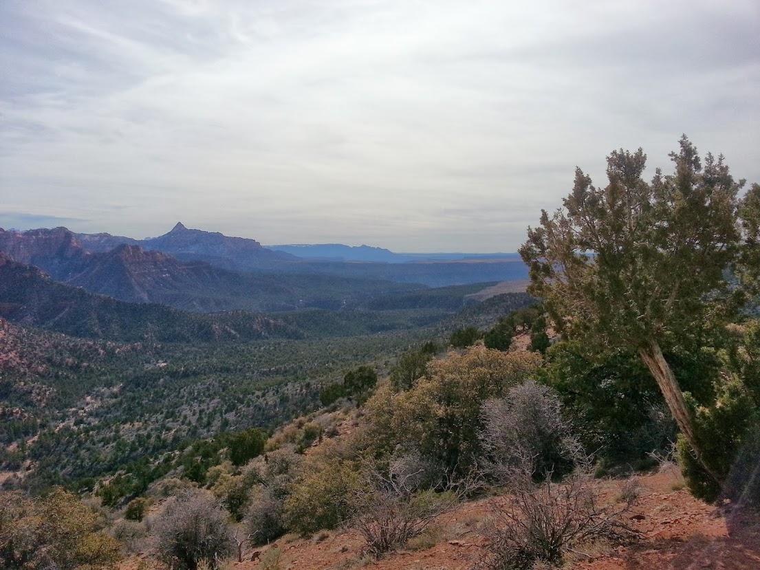 "Zion National Park"